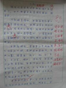 最佳论文600字