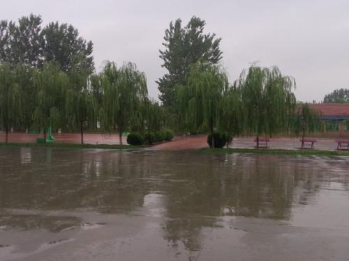 雨中的校园