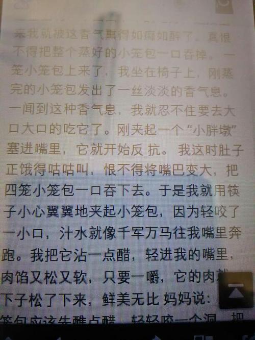 撰写有关传统美食的文章