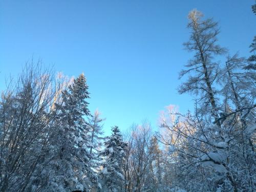 只是因为那场雪