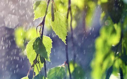 夏天下雨