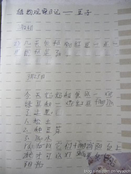 作曲的第一天：意外的450字