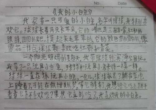 我最喜欢的小狗作文300字