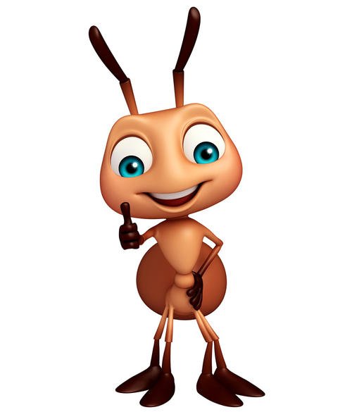 可爱的蚂蚁