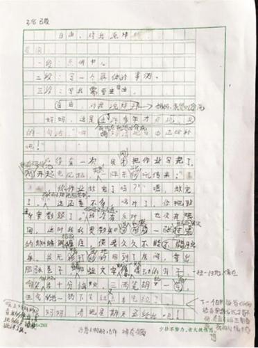 蜘蛛的启蒙作文500字