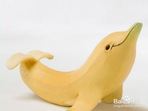 香蕉皮体验