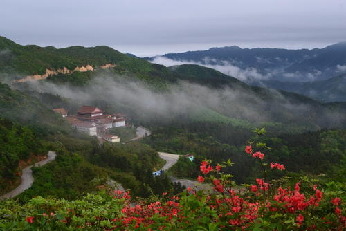 游阳明山