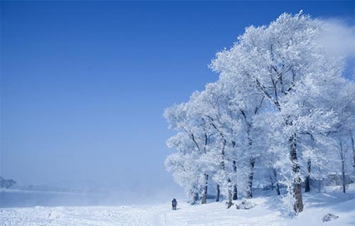 另一种雪景