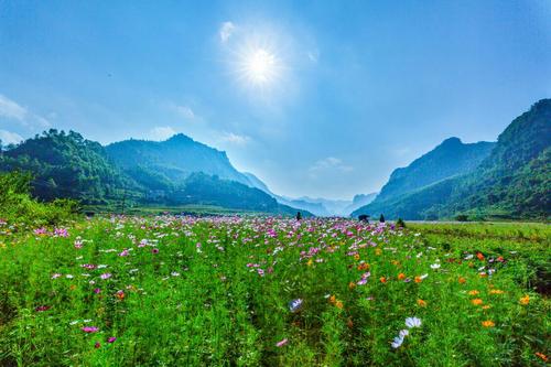 心脏领域的另一种风景