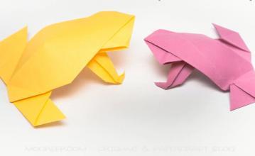 折纸纸青蛙的童年