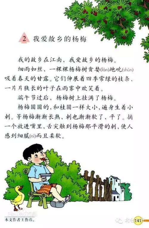 我爱家乡的四个季节