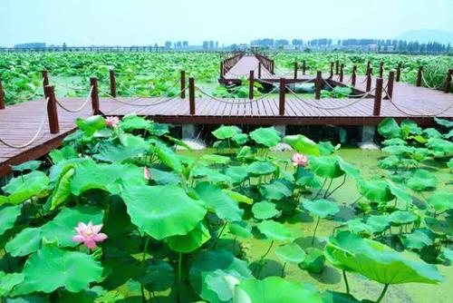 充满活力的夏天