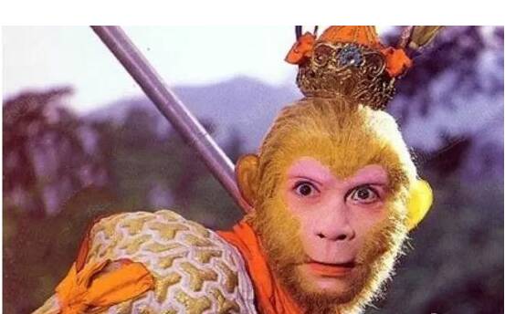 我的“猴子王”