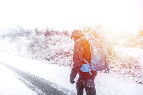 雪中​​的温暖