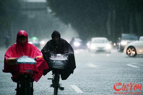 暴雨