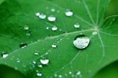 如果我下着雨