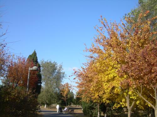 秋天的南方公园