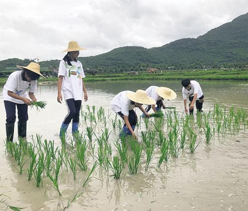 学习旅行笔记