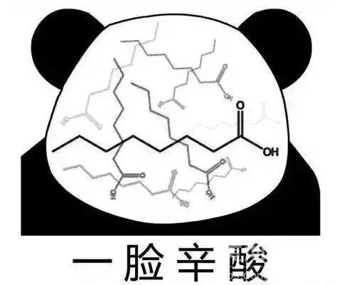 我不仅是我的