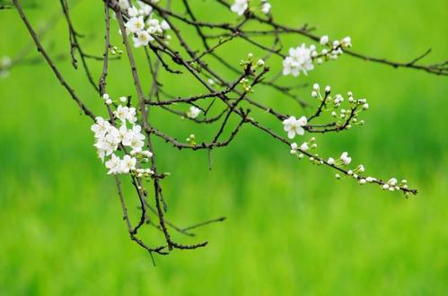 又是3月3日