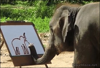 聪明的大象