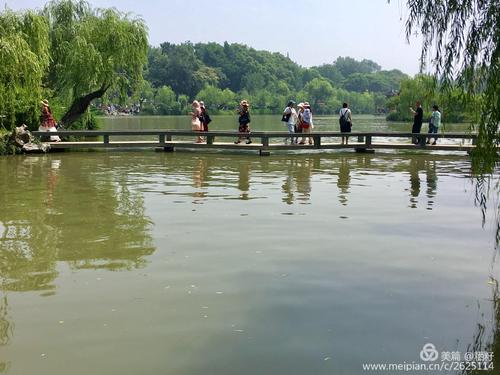 在细长的西湖游泳