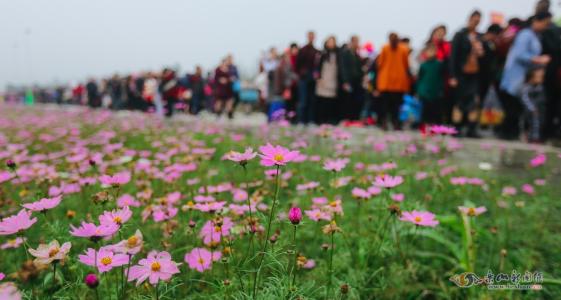 农村节日