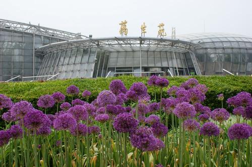 游览广州植物园