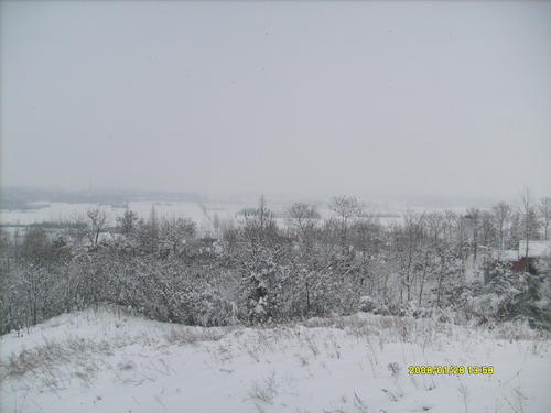 我爱家乡的雪