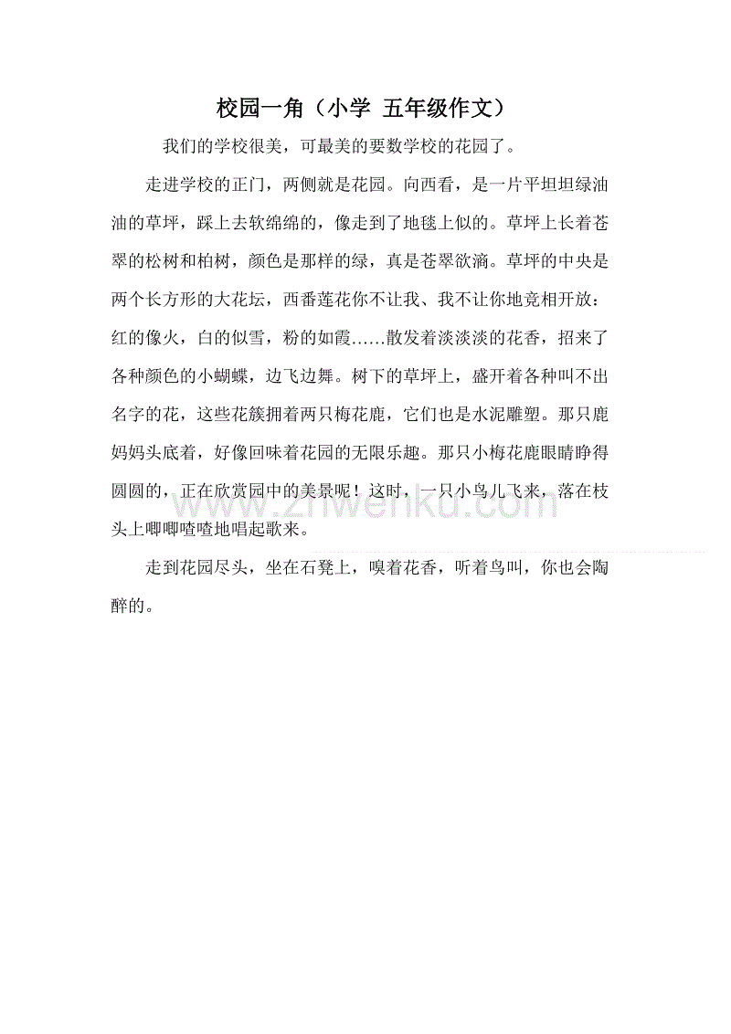 校园一角300个字