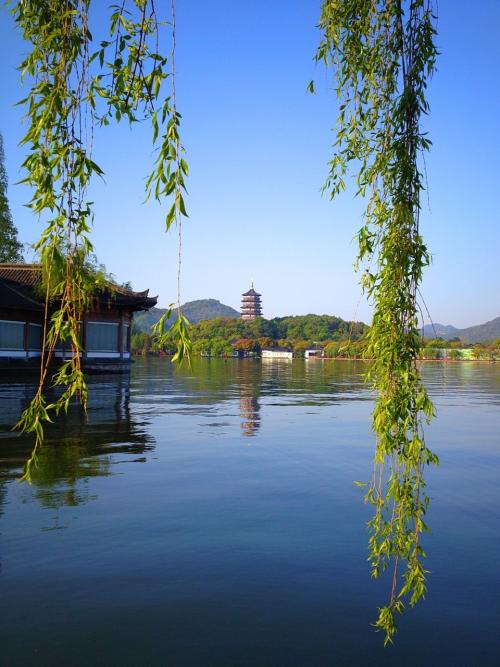 写一篇关于杭州之美的文章