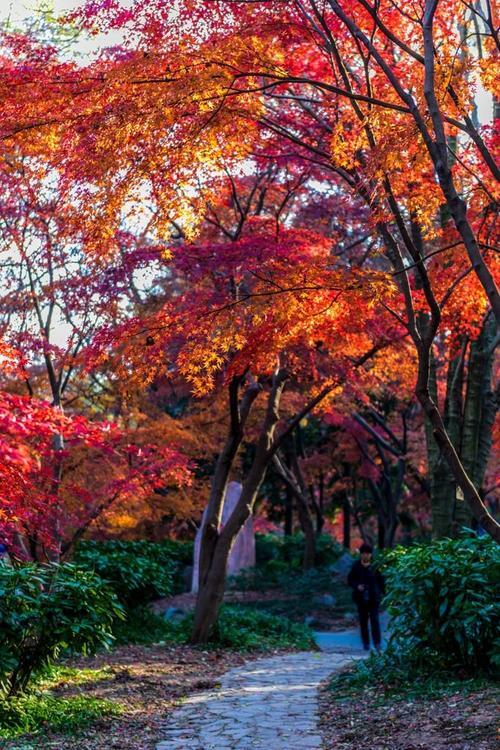 迷人的秋天色彩