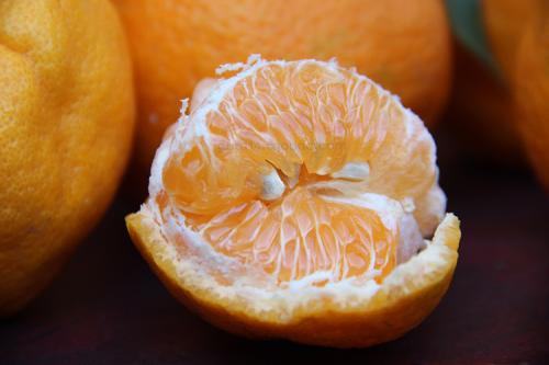 组成描述丑陋的橘子