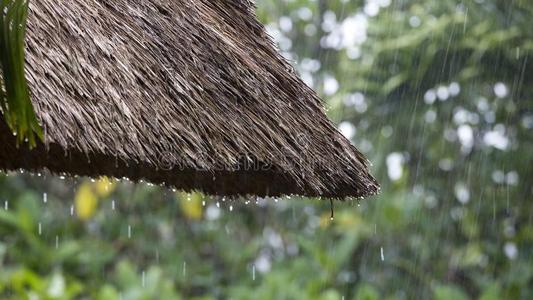 夏天大雨