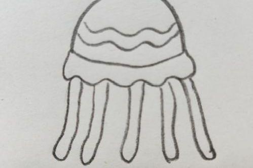 我学会画水母