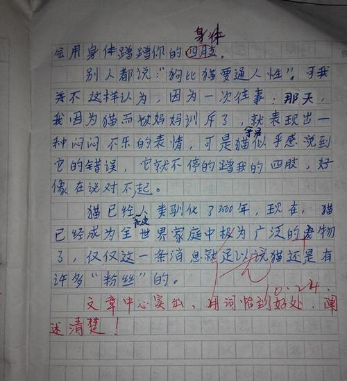 我最喜欢的小动物三年级作文300字