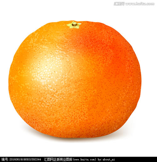 我最喜欢的橘子