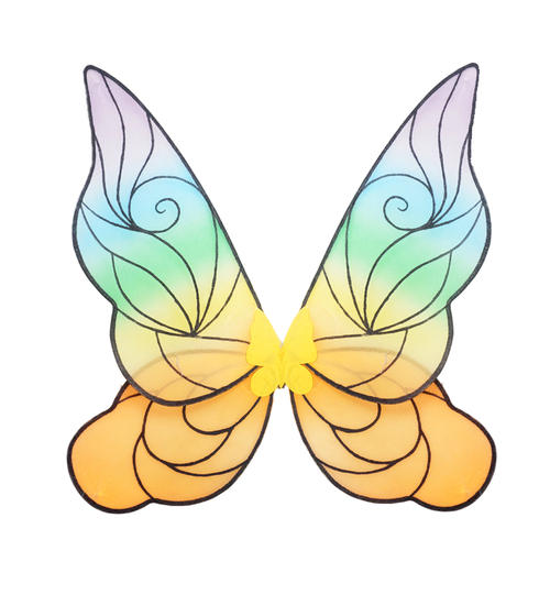 为什么蝴蝶的翅膀如此美丽