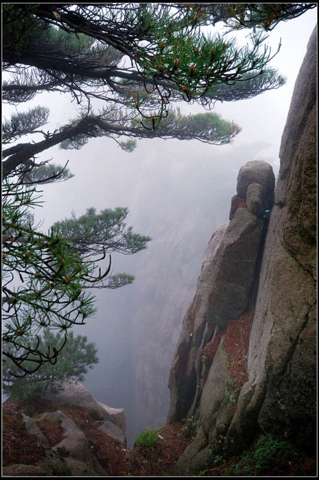 黄山雾游