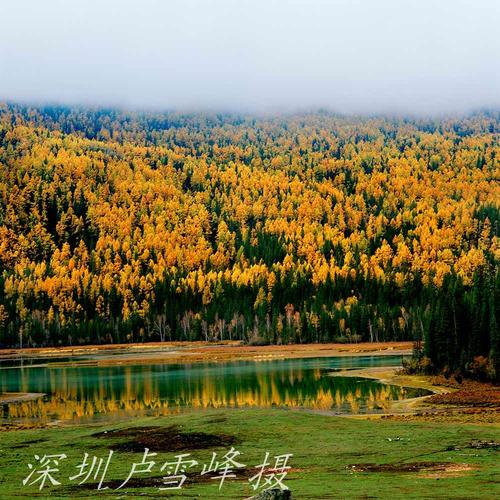 深圳的秋天