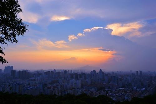 关于“大平枪声”的思考