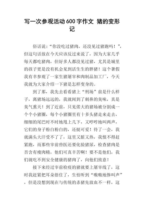 变形构图600字想象力