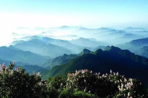 美丽的白花山