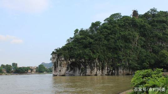 游览象鼻山