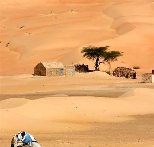 星空下的撒哈拉沙漠-读《撒哈拉的故事》的思考
