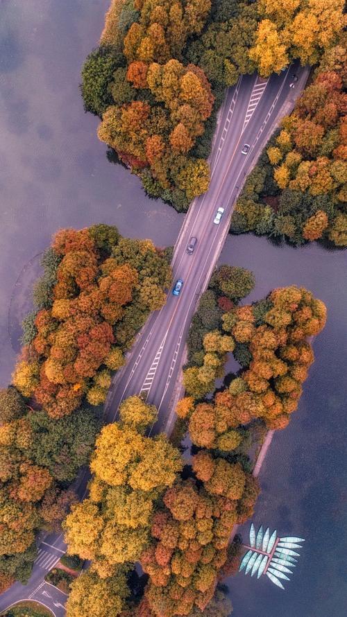 西湖的秋天