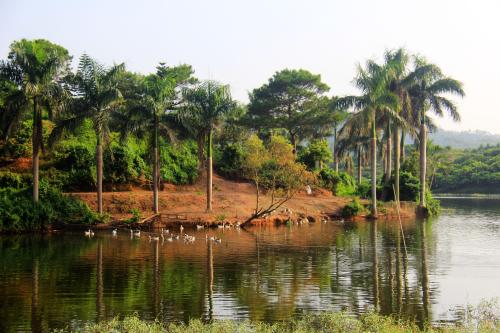 门前的风景