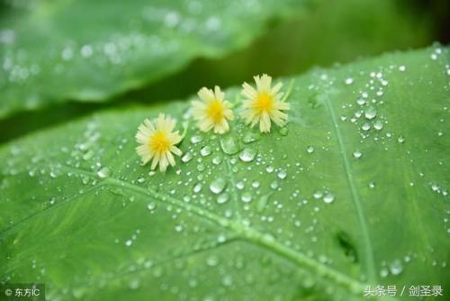 那天下毛毛雨