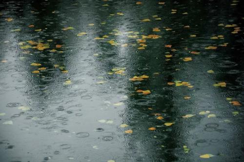 多雨的秋天