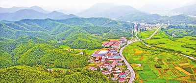 那些乡村的“风景”